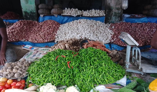 ফুলবাড়ীতে এক সপ্তাহের ব্যবধানে কাঁচা মরিচের দাম কমেছে কেজিতে ১০০ টাকা