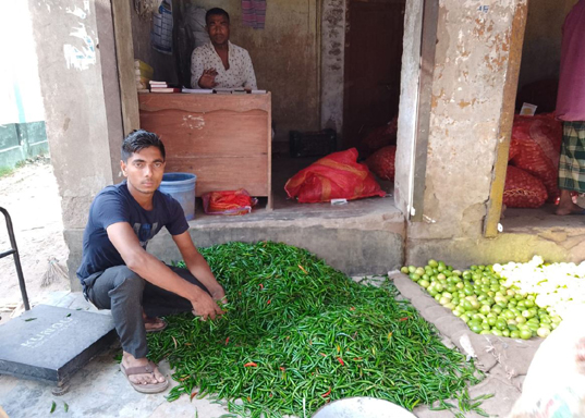 ফুলবাড়ীতে মাত্র একদিনের ব্যবধানে কাঁচা মরিচের দাম বেড়েছে কেজিতে ৪০ টাকা