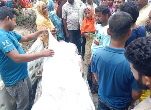 বীরগঞ্জে চুরির অভিযোগে গণপিটুনিতে যুবকের মৃত্যু