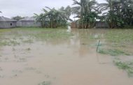 হাতীবান্ধায় নিম্নাঞ্চল প্লাবিত, তিস্তার পানি বিপদসীমা ছুঁই ছুঁই