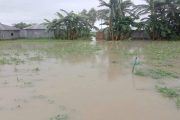 বন্যায় লালমনিরহাটে ২০ হাজার মানুষ পানিবন্দি