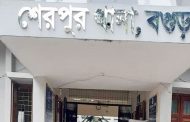 বগুড়ায় সড়কে গাছ ফেলে ডাকাতি ১০ মহিষসহ ট্রাক লুট