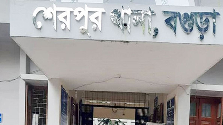বগুড়ায় সড়কে গাছ ফেলে ডাকাতি ১০ মহিষসহ ট্রাক লুট
