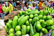 বগুড়ায় বৃষ্টির অজুহাতে সবজির মোকামেই দাম বেড়েছে মণে ৪০০-৫০০ টাকা