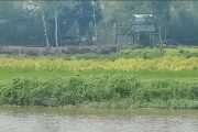 পাঁচবিবি সীমান্তে ফের কাঁটাতারের বেড়া দেওয়ার চেষ্টা বিএসএফের, বিজিবির বাধা