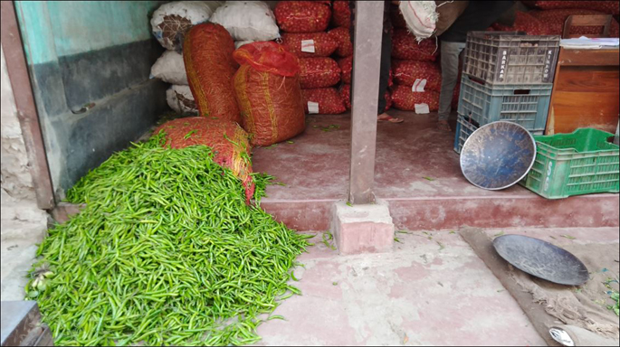 দিনাজপুরে কমল কাঁচা মরিচের দাম