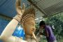 ৩১ অক্টোবর শ্যামাপূজা : বগুড়ায় ১২ ফুট উচ্চতার কালী প্রতিমা তৈরি হচ্ছে :  শিবগঞ্জ উপজেলার সাদুল্যাপুর গ্রামে দুইশ বছরের ঐতিহ্যবাহী উত্তরাঞ্চলের সর্ববৃহৎ প্রতিমা দিয়ে শ্যামাপূজা উপলক্ষে সেখানে তিন দিনের মেলারও আয়োজন চলছে।