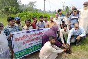 গোবিন্দগঞ্জ থেকে রংপুর পর্যন্ত ঢাকা-রংপুর মহাসড়কের দুইপাশে ৬০ কিলোমিটার তালগাছের বীজ রোপণ কার্যক্রমের উদ্বোধন