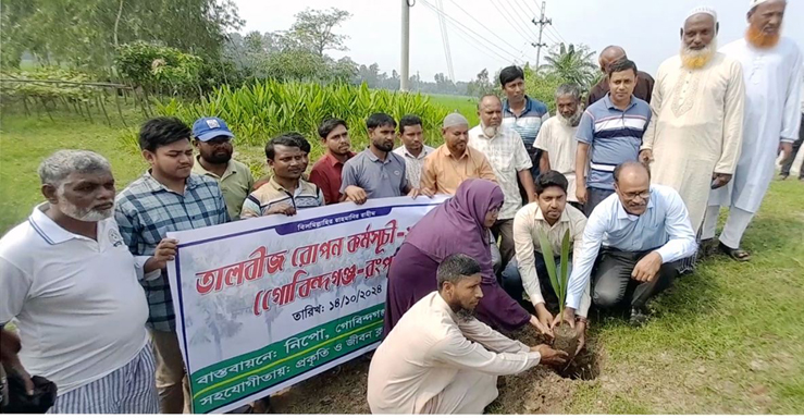গোবিন্দগঞ্জ থেকে রংপুর পর্যন্ত ঢাকা-রংপুর মহাসড়কের দুইপাশে ৬০ কিলোমিটার তালগাছের বীজ রোপণ কার্যক্রমের উদ্বোধন