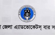 আগামী ২৯ নভেম্বর বগুড়া বারের নির্বাচন ১৩ পদে ৪৮ প্রার্থীর মনোনয়ন দাখিল
