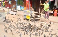 পাখির প্রতি রাজ্জাকের ভালবাসা!