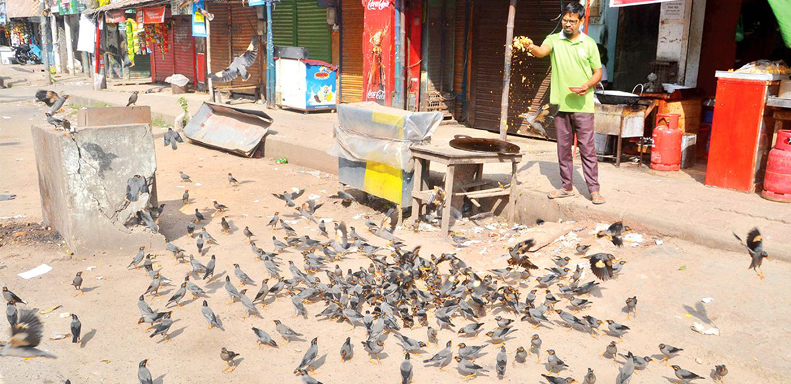 পাখির প্রতি রাজ্জাকের ভালবাসা!