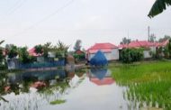 ডিমলায় আশ্রয়ন প্রকল্পের ৫০ পরিবার পানিবন্দি হয়ে ভোগান্তিতে