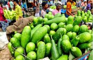 বগুড়ায় শীতের আগাম সবজি বাজারে আসায় দাম কমতে শুরু করেছে : প্রতি মণে ২০০ থেকে ১০০০ টাকা কমেছে সবজির দাম।