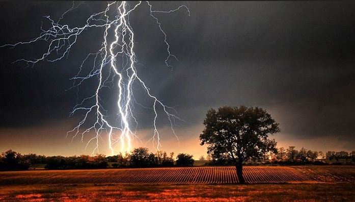 মরিচের ক্ষেতে কাজ করার সময় বজ্রপাতে প্রাণ গেল কৃষকের