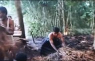 আক্কেলপুরে ২ বিঘা জমির ধানে আগুন দিয়েছে দুর্বৃত্তরা
