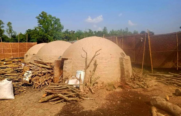 গাইবান্ধায় কাঠ পুড়িয়ে কয়লা তৈরি হুমকিতে পরিবেশ