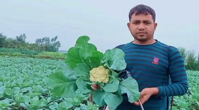 গাজীপুরের কৃষকরা শীতকালীন সবজি চাষে ব্যস্ত সময় পার করছেন