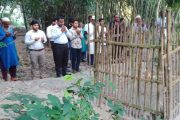 পাঁচবিবির ইউএনও শহীদ বিশালের কবর জিয়ারত করেন