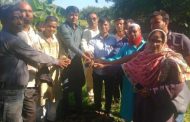 ঠাকুরগাঁও গড়েয়ায় বজ্রপাত থেকে রক্ষায় তালবীজ রোপণ