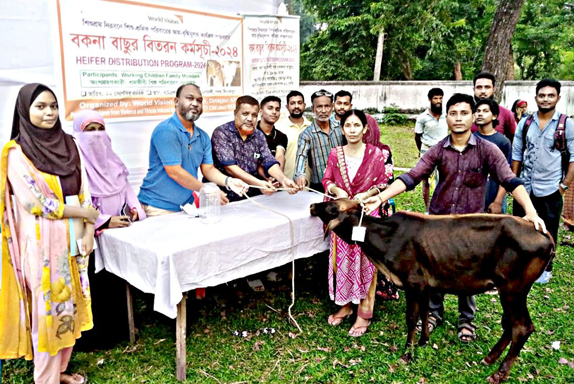 দিনাজপুরে শিশু শ্রমিক পরিবারের আয় বৃদ্ধিমূলক কার্যক্রম বাস্তবায়নে বিনামূল্যে বকনা বাছুর বিতরণ