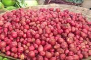 শিবগঞ্জে নতুন আলুতে আরও বাড়ল ২০ টাকা ৪০০ আলু এখন ৪২০ টাকা কেজিতে