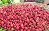 শিবগঞ্জে নতুন আলুতে আরও বাড়ল ২০ টাকা  ৪০০ আলু এখন ৪২০ টাকা কেজিতে