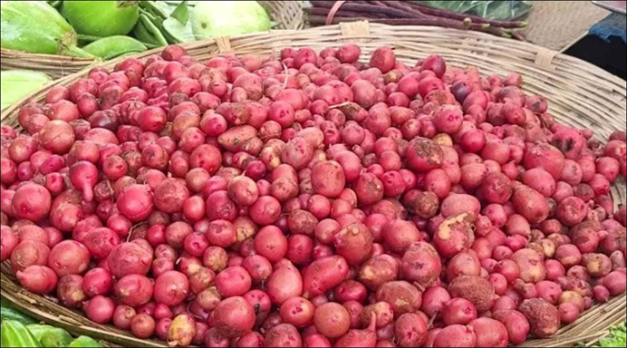 শিবগঞ্জে নতুন আলুতে আরও বাড়ল ২০ টাকা  ৪০০ আলু এখন ৪২০ টাকা কেজিতে