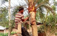 পাঁচবিবিতে গাছিরা খেজুর রস থেকে গুড় তৈরি করছেন