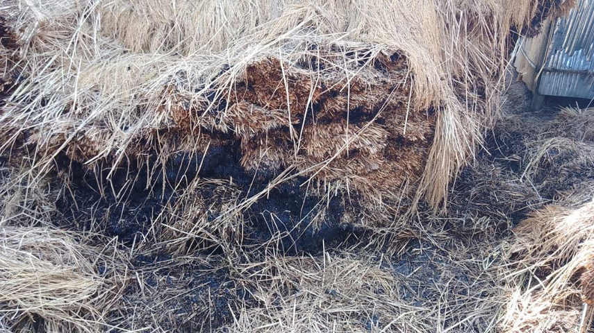 ফুলবাড়ীতে খড়ের গাদার আগুনে পুড়ে গেছে লক্ষাধিক টাকা মূল্যের ধান ও খড়