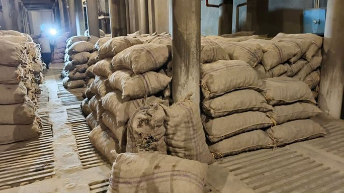 ৩৯ টাকা কেজি দরে বিক্রি : পবার হিমাগার থেকে ২৩০০ বস্তা আলু জব্দ