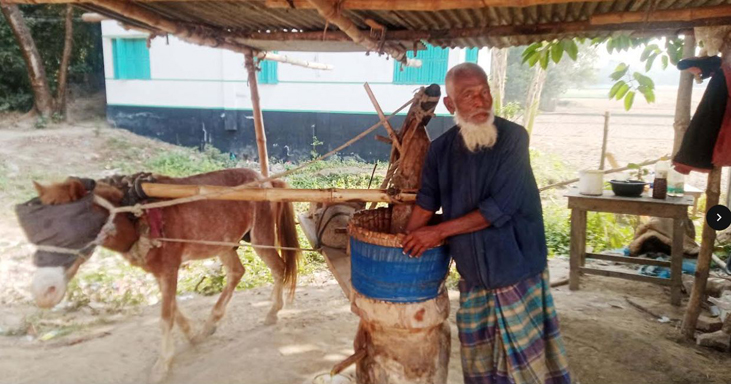 চিরিরবন্দরে ঘোড়া দিয়ে চলছে তেলের ঘানি