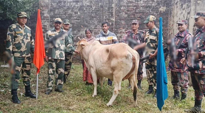 হিলি সীমান্তে বিজিবি-বিএসএফের পতাকা বৈঠকে ভারতীয় গরু হস্তান্তর