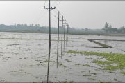 দুই হাজার একর জমিতে জলাবদ্ধতা, আবাদ নিয়ে দুশ্চিন্তায় কৃষক