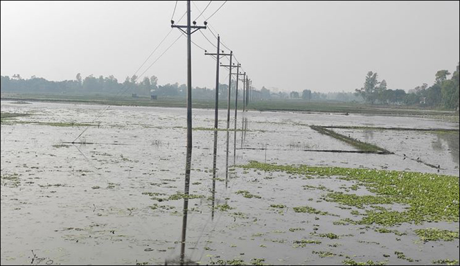 দুই হাজার একর জমিতে জলাবদ্ধতা, আবাদ নিয়ে দুশ্চিন্তায় কৃষক