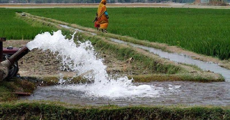 নাটোরের বড়াইগ্রামে একরাতে ১৩টি শ্যালো মেশিন চুরি, বিপাকে কৃষকরা