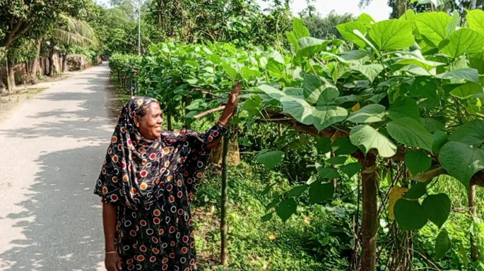পাঁচবিবিতে রাস্তার পাশে সবজি চাষে বাড়তি আয়ের মুখ দেখছেন প্রান্তিক সবজি চাষিরা