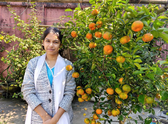 বীরগঞ্জে ঘরের ছাদে কমলা চাষ করে সফল শিক্ষক নিপু