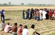 পাঁচবিবি সীমান্তে বৃদ্ধার লাশ উদ্ধার