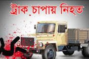 বগুড়ায় ট্রাকের ধাক্কায় দুই রাখাল নিহত