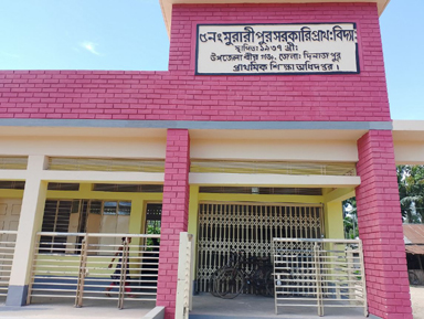বীরগঞ্জে ৬২ প্রাথমিক বিদ্যালয়ে প্রধান শিক্ষকের পদ শূন্য, শিক্ষা কার্যক্রম ব্যাহত