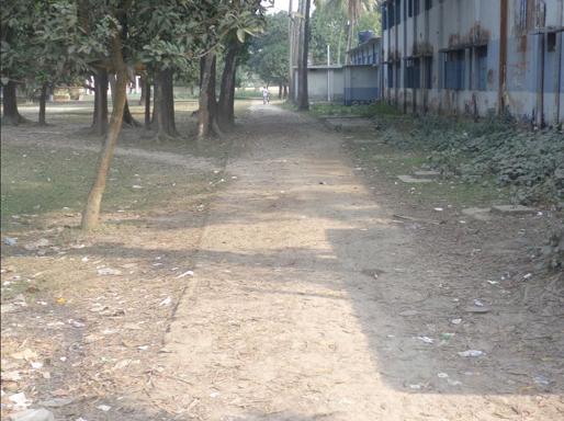 ফুলবাড়ীতে জেল পরিষদের ডাক বাংলোয় যাওয়ার রাস্তাটির বেহার অবস্থা