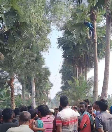 আদমদীঘিতে তালের ডালপালা সংগ্রহ করতে গিয়ে বিদ্যুৎস্পৃষ্টে গাছীর মৃত্যু