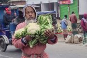 মুলা আর ফুলকপি নিয়ে বিপাকে কৃষক