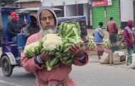 মুলা আর ফুলকপি নিয়ে বিপাকে কৃষক