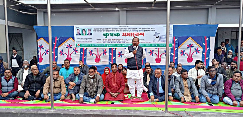 দিনাজপুরে সদর উপজেলা আউলিয়াপুর ইউনিয়ন কৃষক দলের সমাবেশ অনুষ্ঠিত