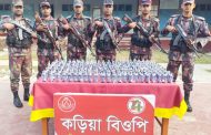 পাঁচবিবি সীমান্তে বিজিবি'র ফেনসিডিল উদ্ধার