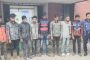বোয়ালমারীতে ৮ গরু চোর গ্রেপ্তার
