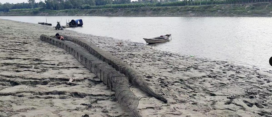গোবিদগঞ্জে চায়না জালের ব্যবহারে সাবার হচ্ছে নদী নালার দেশী প্রজাতির মাছ