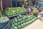 ফুলবাড়ীর হাটবাজারে উঠেছে মৌসুমি ফল তরমুজ, দাম নিম্ন ও মধ্যবিত্তদের নাগালের বাইরে